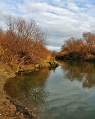 Липиці з panoramio.com