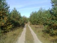 Вересівка з panoramio.com