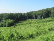 Горошівці з panoramio.com