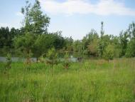 Боблів з panoramio.com