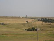 Жайворонки з panoramio.com