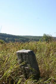 Трощин з panoramio.com