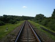 Осикове з panoramio.com