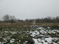 Мостове у лютому 2014