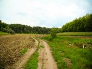 Грушківка з panoramio.com