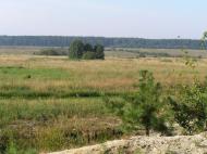 Грем'яче з panoramio.com