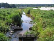 Старі Безрадичі з panoramio.com