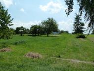 Кураж з panoramio.com