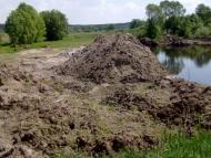 Дубовик з panoramio.com