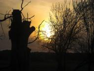 Гайове з panoramio.com