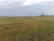 Семисотка з panoramio.com