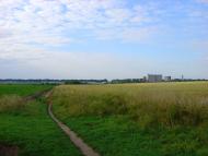 Скородистик з panoramio.com