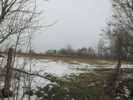 Мостове у лютому 2014