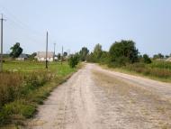 Облапи з panoramio.com