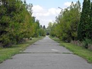 Центральне з panoramio.com