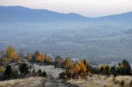 Люта з panoramio.com - Люта