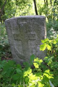 Трощин з panoramio.com