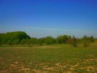 Дружне з panoramio.com