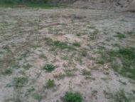 Переділи з panoramio.com