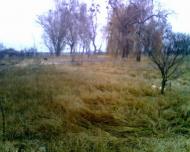 Зурівка з panoramio.com