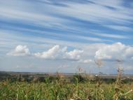 Горошівці з panoramio.com