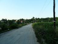 Зарванці з panoramio.com - Зарванцы