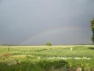 Гайове з panoramio.com