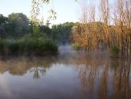 Нижня Хортиця з panoramio.com