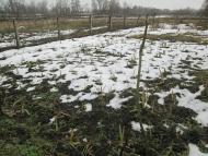 Мостове у лютому 2014