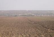 Конопляне - Останні фото