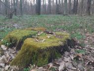 Волиця з panoramio.com