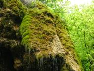 Уніж з panoramio.com