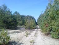 Новосілки з panoramio.com