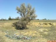 Новокам'янка з panoramio.com