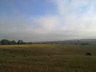 Кузьмин з panoramio.com