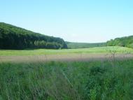 Тростянець з panoramio.com