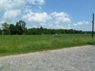 Кураж з panoramio.com