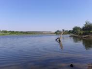 Таборівка з panoramio.com