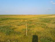 Локня з panoramio.com