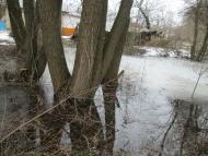 Мостове у лютому 2014