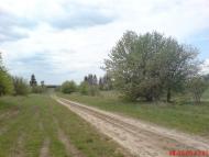 Макове з panoramio.com