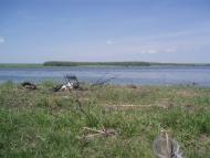 Андріївка з panoramio.com