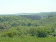 Яланець з panoramio.com