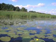 Тернівка з panoramio.com