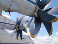 Блиставиця з panoramio.com