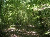 Володимирівка з panoramio.com