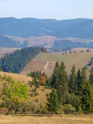 Рипень з panoramio.com