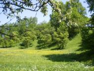 Петранка з panoramio.com