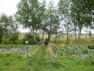 Римачі з panoramio.com