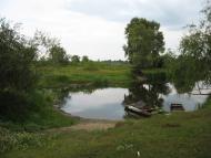 Новосілки з panoramio.com